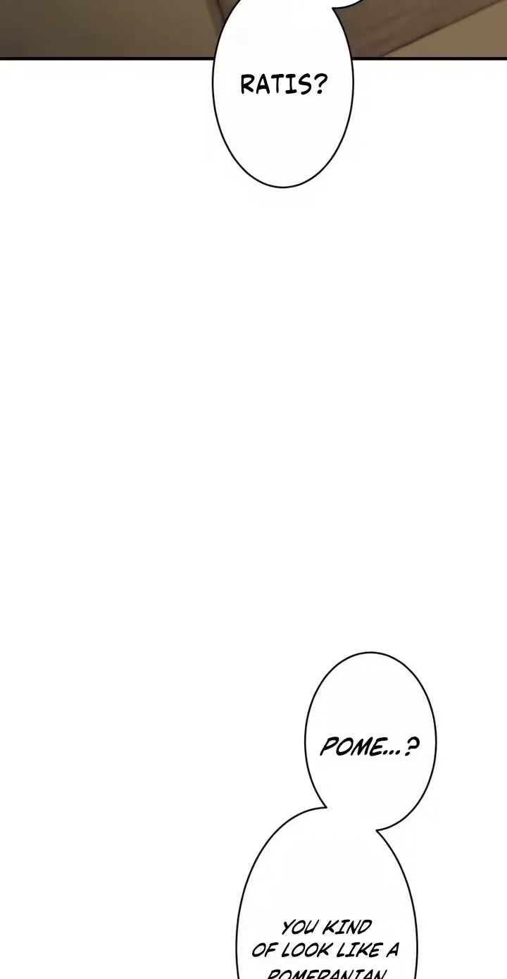 All Heroes Are My Enemies — Chapter 4 — Page 117